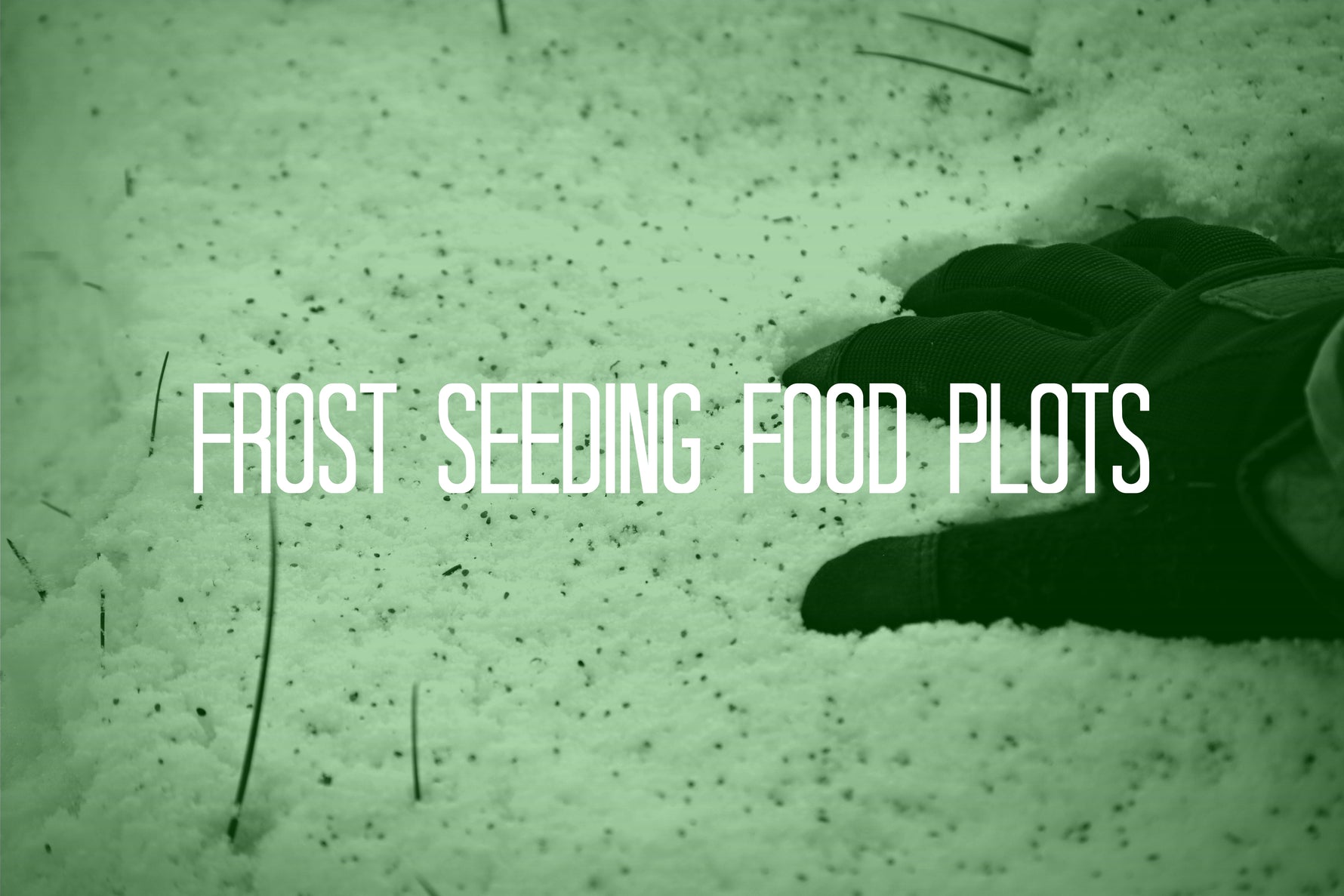 Food Plot 101 | How to Frost Seed Food Plots - DeerGro