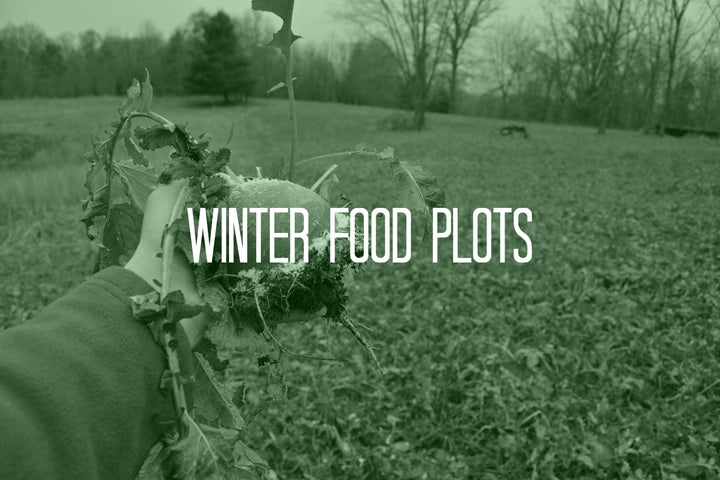 5 Best Winter Food Plots | What Do Deer Eat? - DeerGro